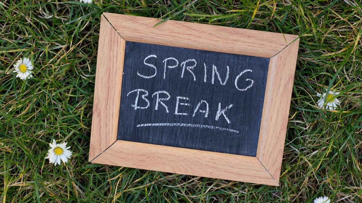 Spring Break written on a small chalkboard on green grass with small white flowers